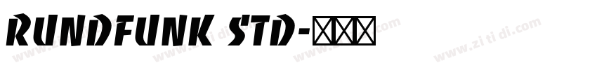 Rundfunk Std字体转换